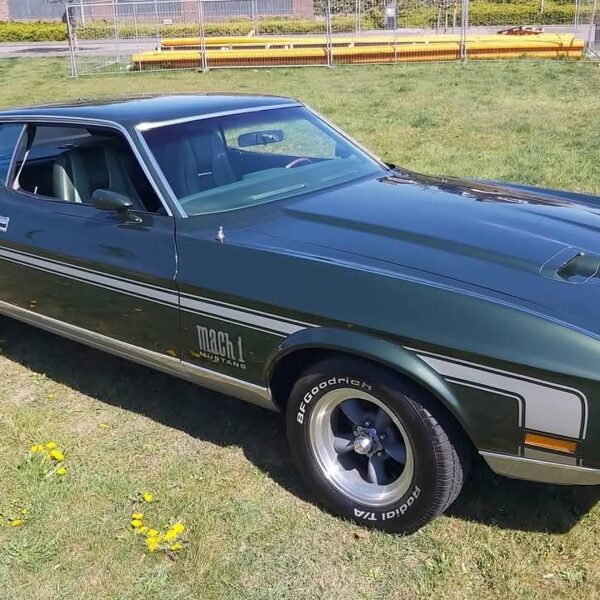 Mustang Invázió Komádi - 2025